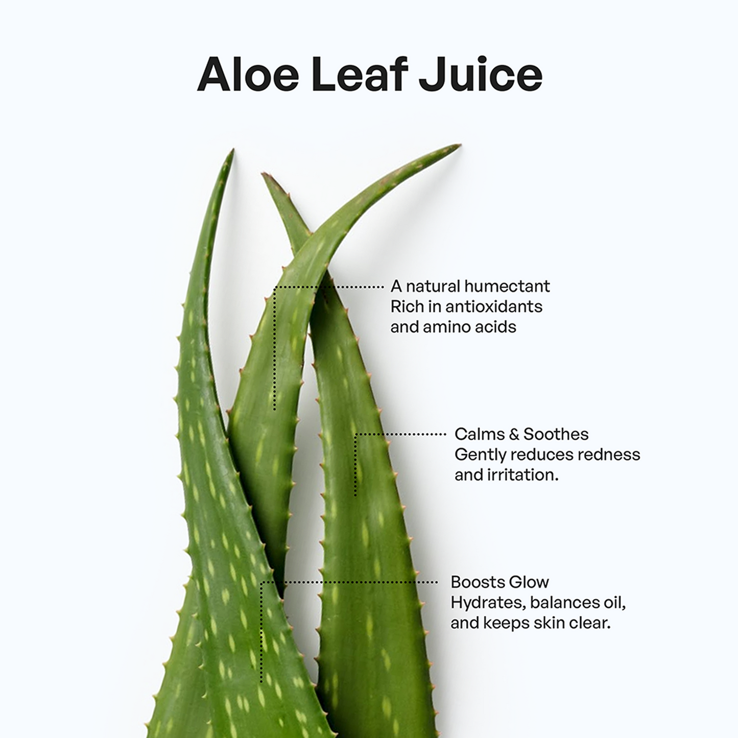 Foaming Oil Cleanser